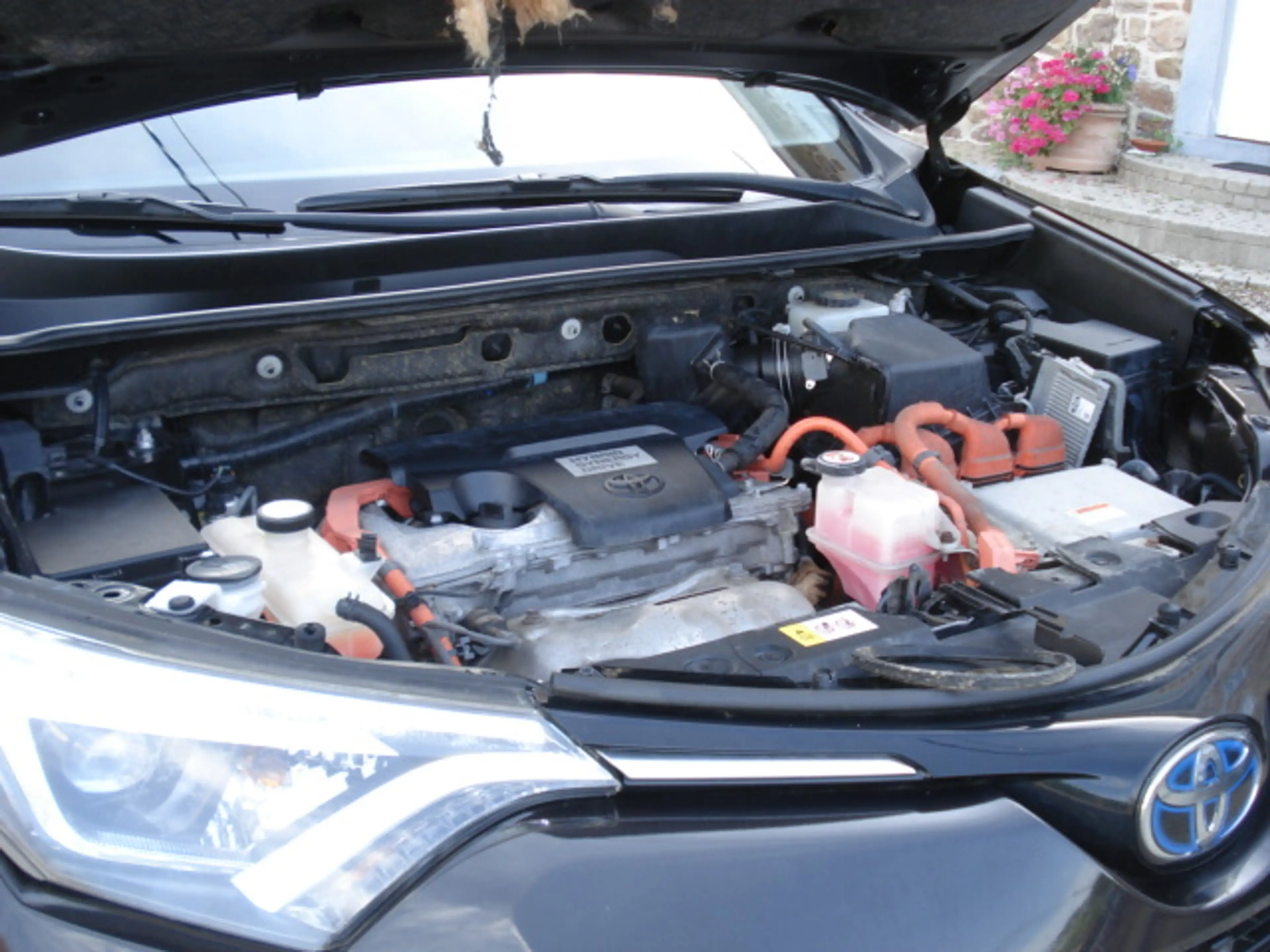 Toyota RAV 4 RAV4 Hybrid 2.5i e-AWD Premium CVT — photo 15