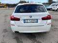BMW 520 Serie5Touring 520d Touring xdrive Luxury190cv auto Blanc - thumbnail 29
