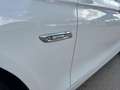 BMW 520 Serie5Touring 520d Touring xdrive Luxury190cv auto Blanc - thumbnail 28