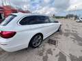 BMW 520 Serie5Touring 520d Touring xdrive Luxury190cv auto Blanc - thumbnail 14