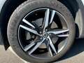 Volvo XC40 XC40 1.5 t5 phev R-design auto my21 Grigio - thumbnail 12