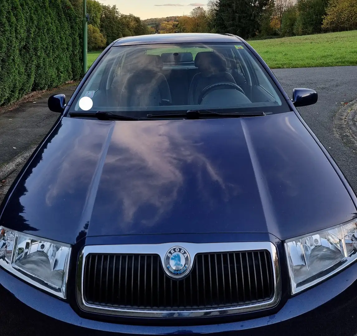 Skoda Fabia 1.9 TDI Bleu - 1