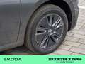 Skoda Fabia 1.0 TSI Tour KLIMA PDC SHZ KAMERA LED Gris - thumbnail 5
