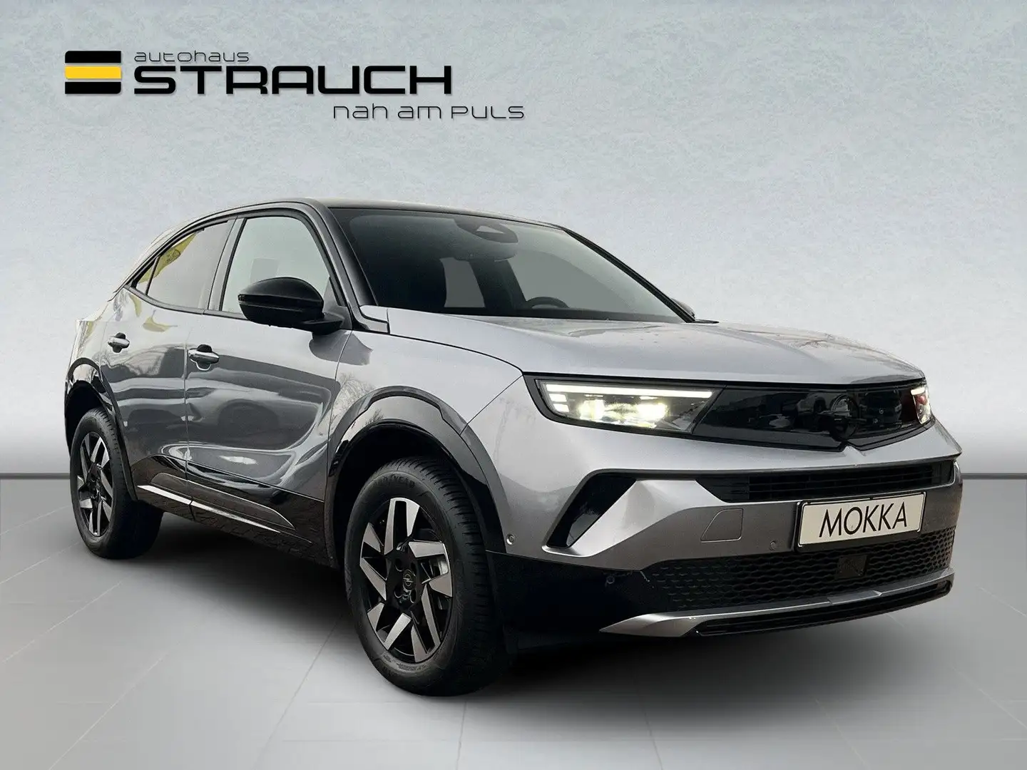 Opel Mokka GS Navi/LHz/ACC/180°RFK/SHz/TWA/Matrix Grau - 1