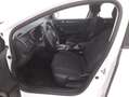 Renault Megane Business EDC 1.5 Diesel 116CV Bianco - thumbnail 10
