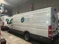 Iveco Daily Bianco - thumbnail 1