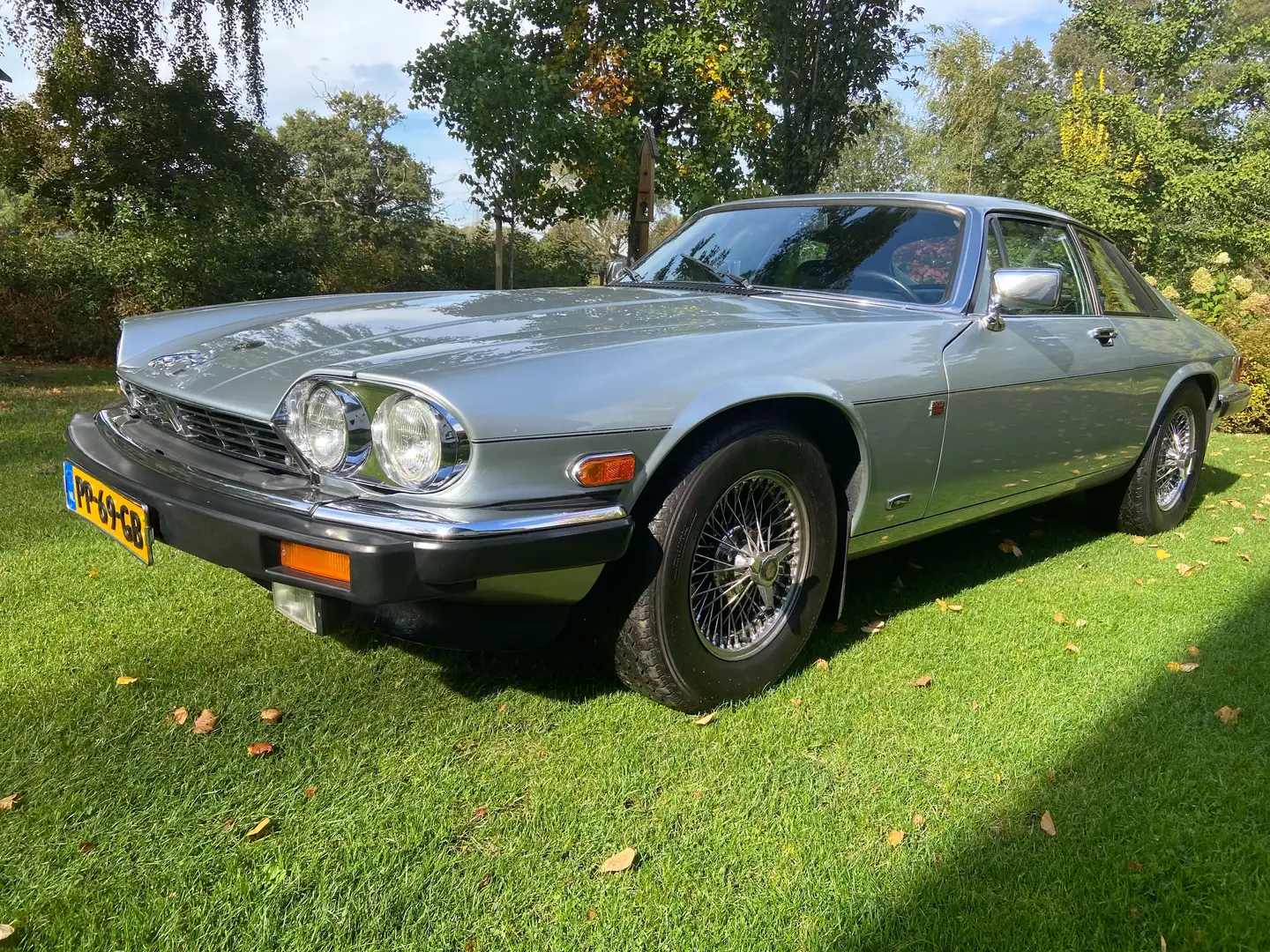 Jaguar XJS XJS 5.3 V12 Coupé Срібний - 1