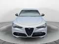 Alfa Romeo Stelvio 2.2 TD 210 CV Veloce AT8 Q4 - thumbnail 2