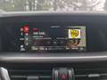 Alfa Romeo Stelvio 2.2 TD 210 CV Veloce AT8 Q4 - thumbnail 13