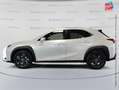Lexus UX 250h 250h 2WD Luxe MY20 Blanc - thumbnail 9