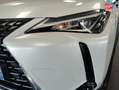 Lexus UX 250h 250h 2WD Luxe MY20 Blanc - thumbnail 13