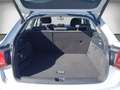 Audi Q2 30 TFSI Navi RearView MFL GRA AUT LED Blanc - thumbnail 14