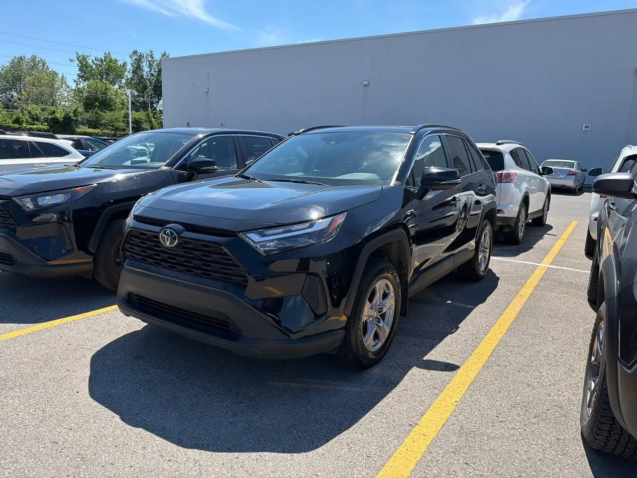 2025 Toyota RAV 4