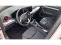 SEAT Ibiza FR 1.0 TSI 6-Gang Wireless Charger Blanc - thumbnail 9