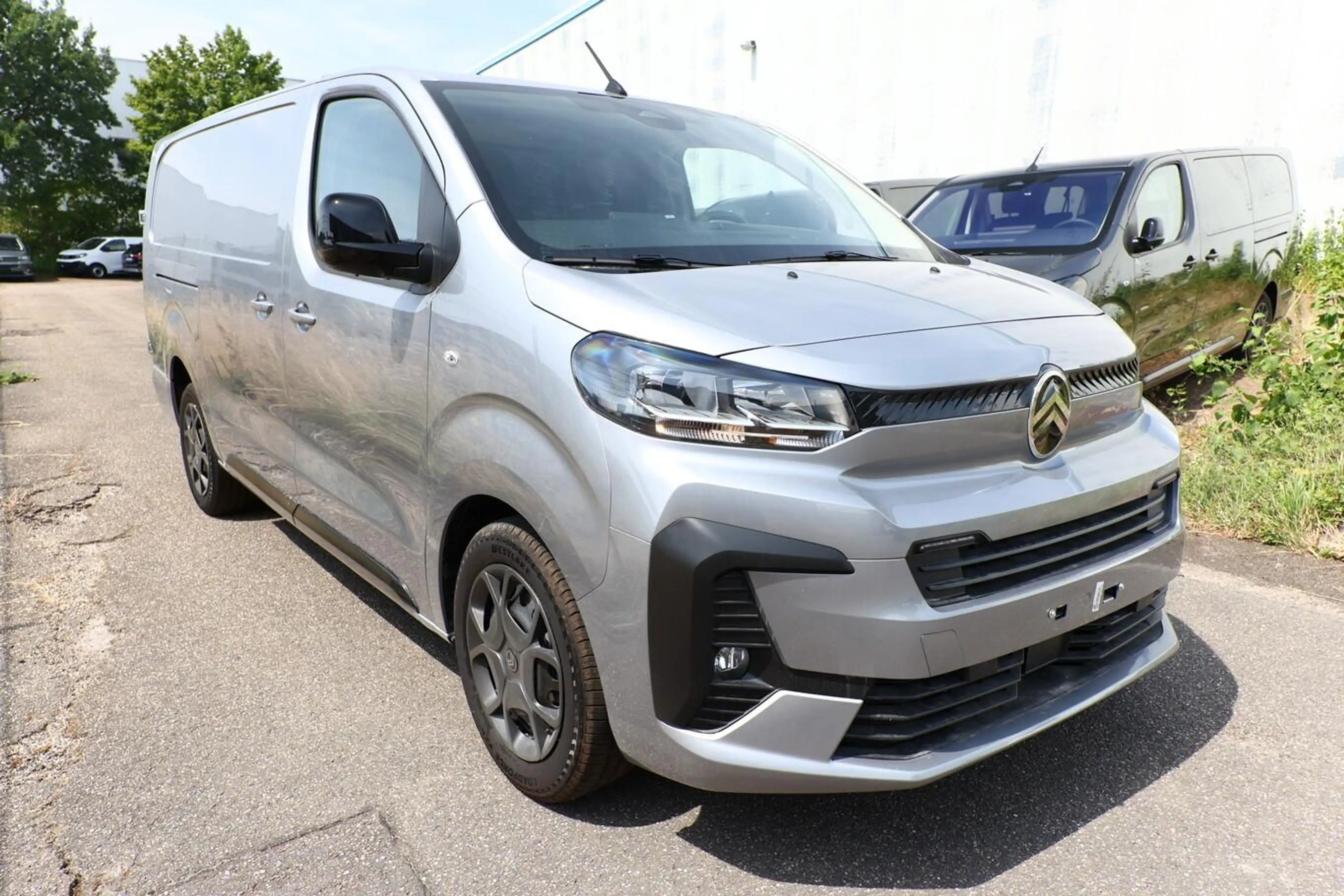 Citroen Jumpy XL AT Nav WinterP Kam AHK ModuW Holz Style 110 ... — photo 2