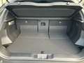 Toyota Urban Cruiser BEV 4x4 Teamplayer 135kW Grün - thumbnail 10