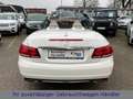 Mercedes-Benz E 200 CABRIO LED-ILS|LEDER|COMAND|360°|DISTRONIC Blanco - thumbnail 13