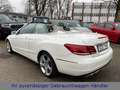 Mercedes-Benz E 200 CABRIO LED-ILS|LEDER|COMAND|360°|DISTRONIC Blanco - thumbnail 12