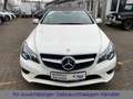 Mercedes-Benz E 200 CABRIO LED-ILS|LEDER|COMAND|360°|DISTRONIC Blanco - thumbnail 5