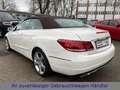 Mercedes-Benz E 200 CABRIO LED-ILS|LEDER|COMAND|360°|DISTRONIC Blanco - thumbnail 4