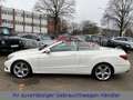 Mercedes-Benz E 200 CABRIO LED-ILS|LEDER|COMAND|360°|DISTRONIC Blanco - thumbnail 16