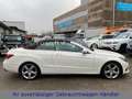 Mercedes-Benz E 200 CABRIO LED-ILS|LEDER|COMAND|360°|DISTRONIC Blanco - thumbnail 8