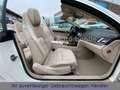 Mercedes-Benz E 200 CABRIO LED-ILS|LEDER|COMAND|360°|DISTRONIC Blanco - thumbnail 22