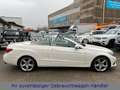 Mercedes-Benz E 200 CABRIO LED-ILS|LEDER|COMAND|360°|DISTRONIC Blanco - thumbnail 14