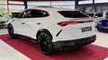 Lamborghini Urus Massage+HUD+Laser+ Weiß - thumbnail 3
