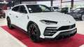 Lamborghini Urus Massage+HUD+Laser+ Weiß - thumbnail 7