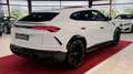 Lamborghini Urus Massage+HUD+Laser+ Weiß - thumbnail 5