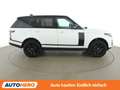 Land Rover Range Rover 2.0 Hybrid Vogue Weiß - thumbnail 7