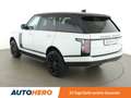 Land Rover Range Rover 2.0 Hybrid Vogue Weiß - thumbnail 4