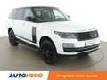 Land Rover Range Rover 2.0 Hybrid Vogue Weiß - thumbnail 8