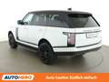 Land Rover Range Rover 2.0 Hybrid Vogue Weiß - thumbnail 4