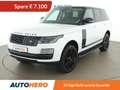 Land Rover Range Rover 2.0 Hybrid Vogue Weiß - thumbnail 1