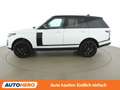 Land Rover Range Rover 2.0 Hybrid Vogue Weiß - thumbnail 3