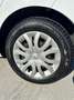 Renault Clio 1.5 dCi 8V 75CV 5 porte Live OK NEOPATENTATO Bianco - thumbnail 7