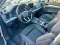Audi Q5 Q5 II 2017 40 2.0 tdi Sport quattro 190cv s-tronic Grigio - thumbnail 15