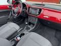 Volkswagen Beetle The Cabriolet 2.0 TDI BlueMotion Technology Design Rot - thumbnail 17