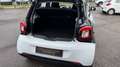 smart forFour Passion *Automatik* Pano SH Klimaauto Schwarz - thumbnail 6