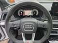 Audi Q5 S-LINE 40TDI LUFT+AHK+PANO+B&O+MATRIX+KAMERA+21 AL Weiß - thumbnail 9