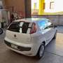 Fiat Punto Evo 3p 1.3 mjt Dynamic s&s 95cv dualogic White - thumbnail 7