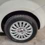Fiat Punto Evo 3p 1.3 mjt Dynamic s&s 95cv dualogic Weiß - thumbnail 15