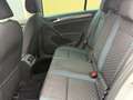 Volkswagen Golf VII Lim. IQ.DRIVE 2.0 TDI Weiß - thumbnail 12