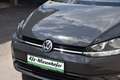 Volkswagen Golf VII 1.6 TDI Variant BMT/Start-Stopp Grau - thumbnail 12