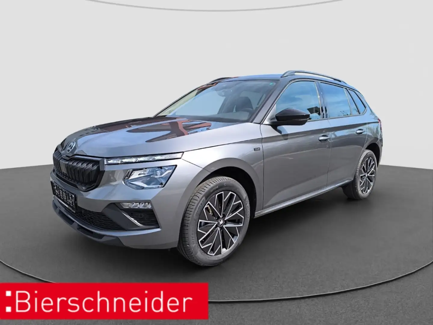 Skoda Kamiq 1,0 TSI Selection RFK TEMP MATRIX LED Grau - 1