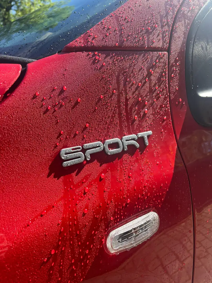 Fiat Panda 1.0 firefly hybrid Sport s&s 70cv 5p.ti - 2