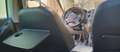 Volkswagen Tiguan Tiguan I 2011 2.0 tdi bm Trend Bianco - thumbnail 6