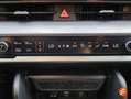 Kia Sportage 1.6 T-GDi MHEV 110kW (150CV) Drive 4x2 Verde - thumbnail 22